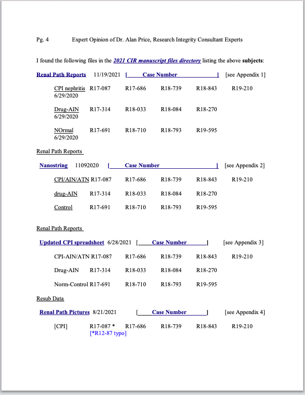 A screenshot of a document